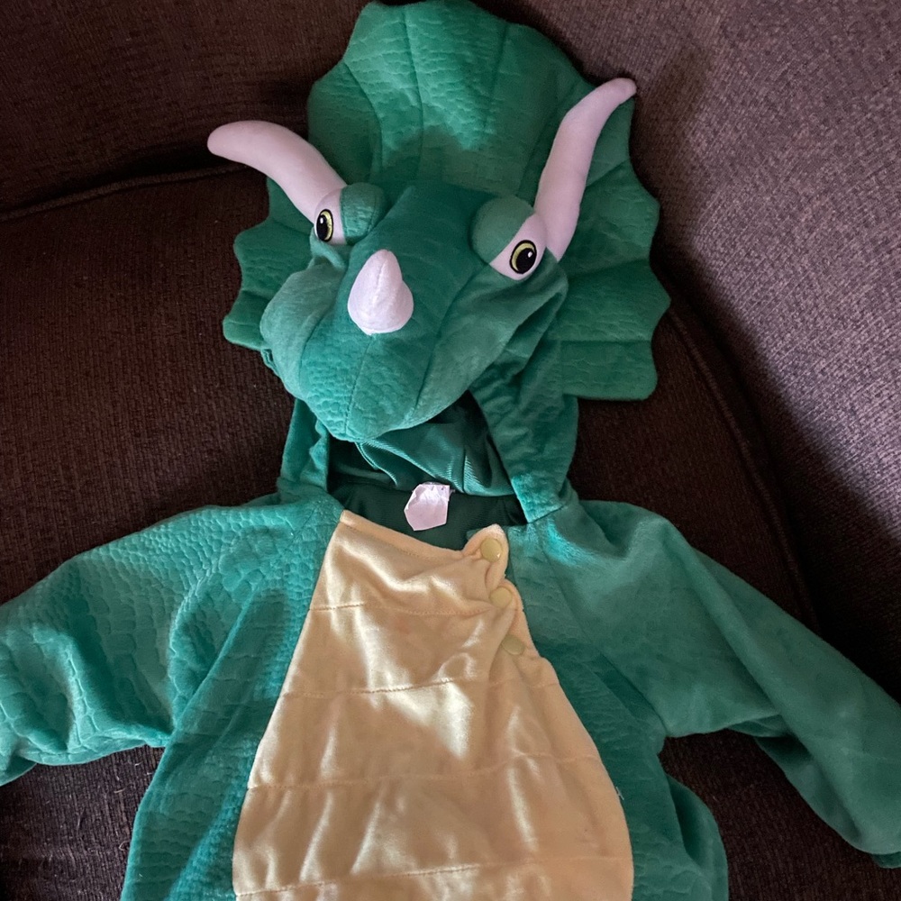 Dinasour costume